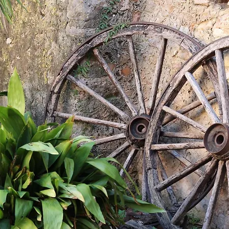 Refugio Son Pons Campanet